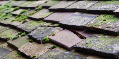Coldham roof repair costs